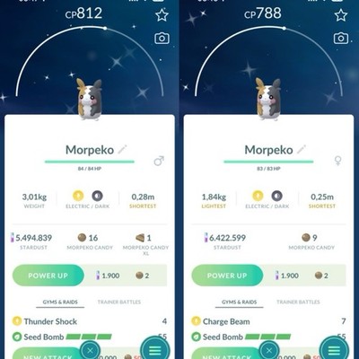 Shiny Morpeko Per Pokémon GO – Registrato O Ultra Amico - Foto 4