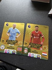 2023-2024 Panini Premier League Adrenalyn XL Golden Baller card  Erling Haaland 