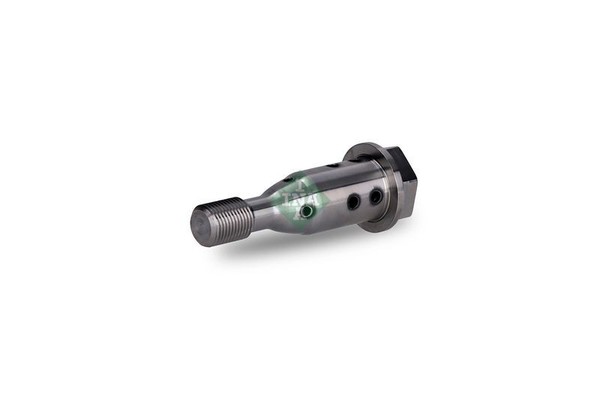 Schaeffler INA 427 0021 10 Zentralventil, Nockenwellenverstellung FüR BMW-image
