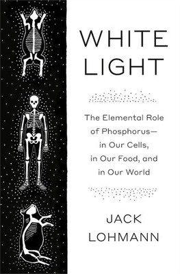 White Light: The Elemental Role of Phosphorus-in Our Cells, in Our Food, and in