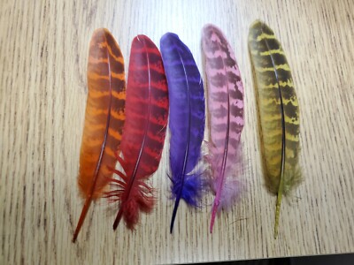 Lot of 10 Dyed Domestic Ringneck Pheasant 5'' Wing Quill Feather
