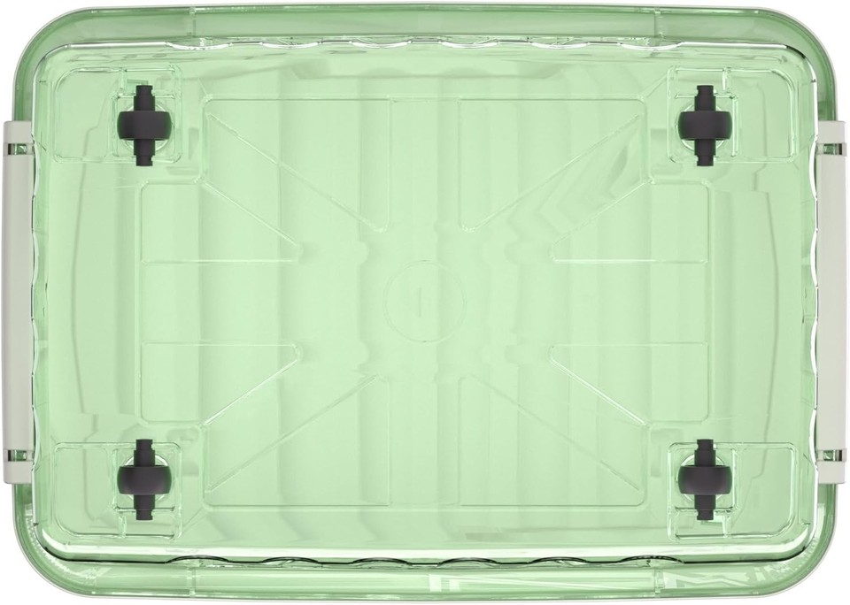 Cetomo 35L*6 Plastic Storage Box, Clear Green, Tote Box, Organize