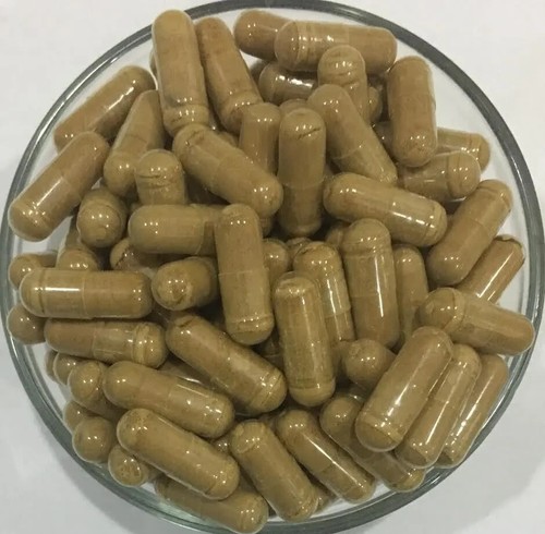 Polypodium Leucotomos (PLE) 20:1 Extract Capsules - Immune & Skin Health Supplement