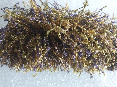 6 yards WRINKLE BRUSH FRINGE 1 3/4'' PURPLE/GOLD/GREEN  Frizzy Fabric Trim 