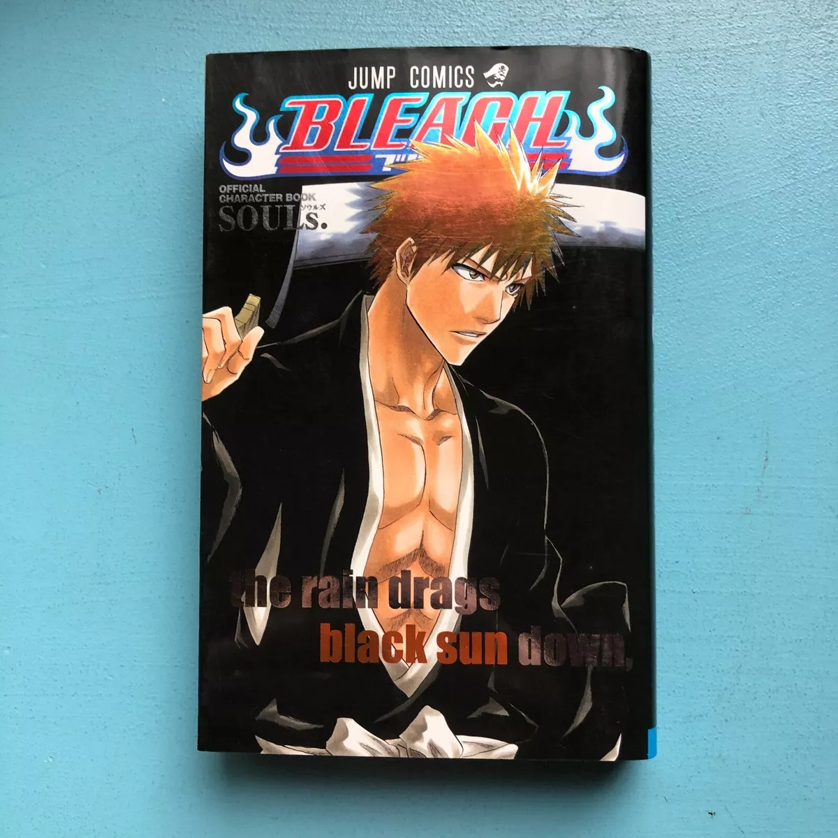 Bleach, Volume 22 by Tite Kubo