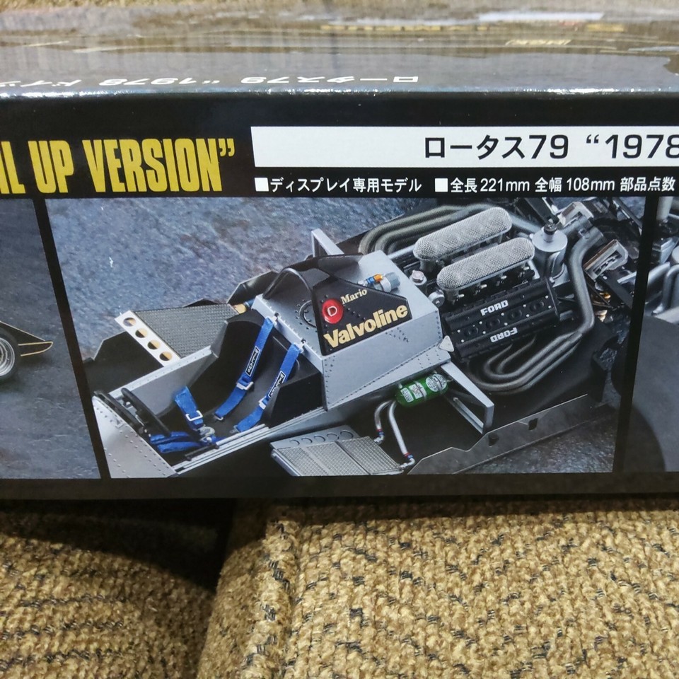 HASEGAWA Sp498 1/20 Lotus 79 1978 Germany Gp Detail Version | eBay