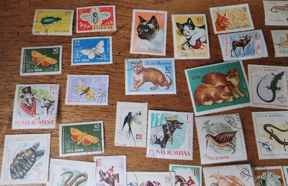 Lote de 60 SELLOS ANIMALES RUMANÍA Lote Usado CTO Bisagras Gatos, Insectos, Pájaros, Osos Foto 2 de 4