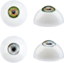 2 Pair Realistic Eyes Big Eyeballs Human Eyes Large Acrylic Eyeballs for Hallowe