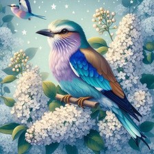 Bird Diamond Painting Kit 12x12 Inch Multicolor 5D DIY Wall Decor Craft Set Kit