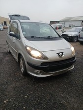 Lève vitre Peugeot 1007