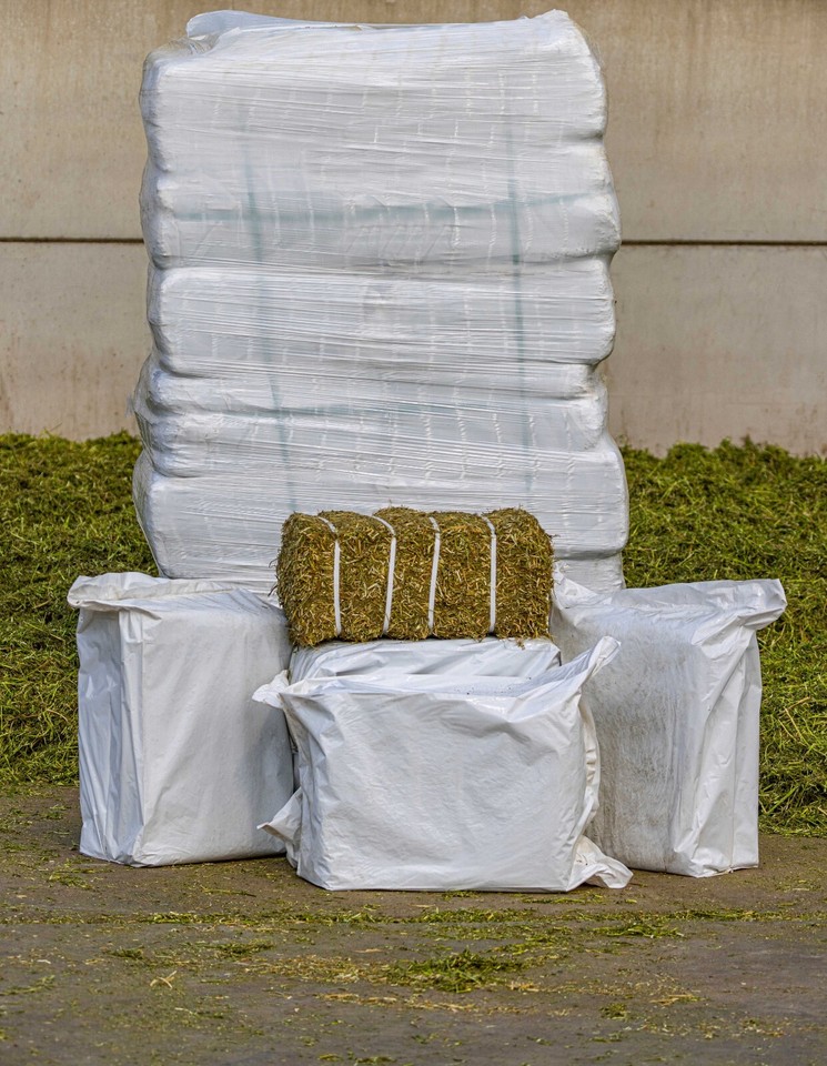 Lucerne / Alfalfa hay available in pet boxes delivered to your door eBay
