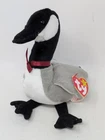 1998 Vintage Ty Beanie Baby - Loosy the Goose Plush Toy - With Tag
