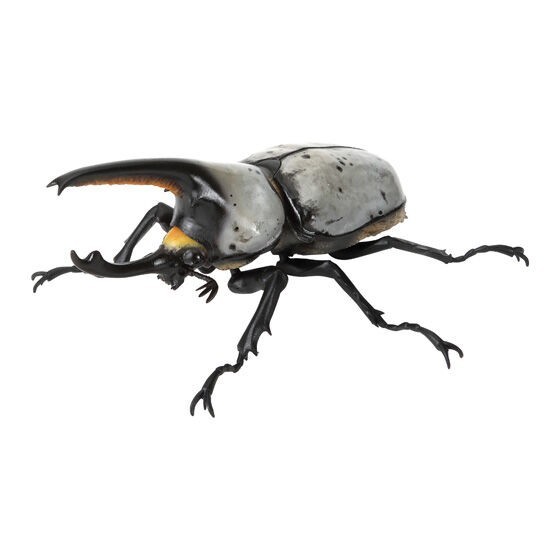ガチャピンページ　rph+B Bandai Gashapon Rhinoceros Beetle 10 Action Figure Western