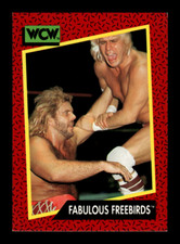 1991 Impel WCW Wrestling Base #1-160 ~ Choose Your Card