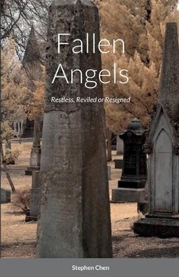 Fallen Angels: Restless, Reviled or Resigned by Stephen Chen (English) Paperback