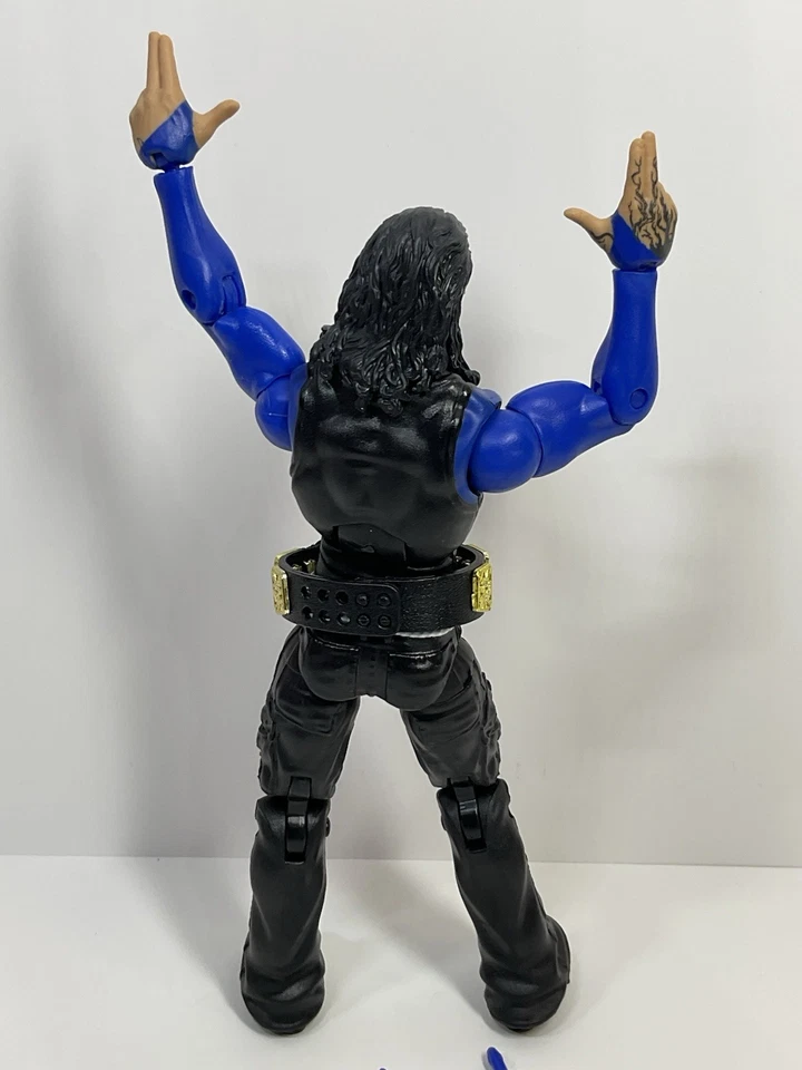WWE Mattel Elite Collection JEFF HARDY Wrestling Figure Series 67 Chase Variant Foto 3 de 4