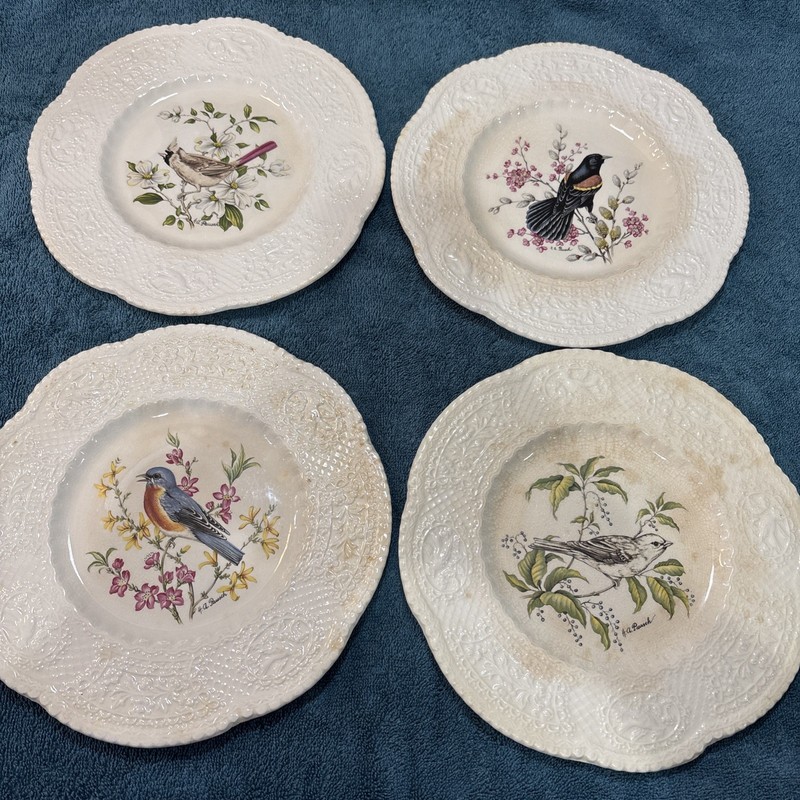 Royal Cauldron Bristol Ironstone England Henry Pausch SET OF 4 Bird Plates