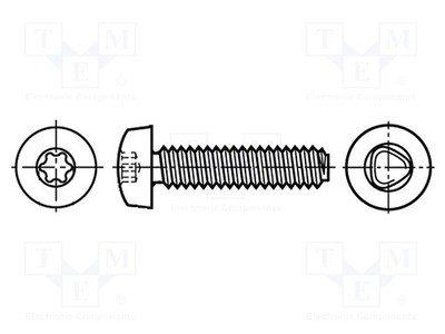 Stahl TX20 Torx Kopf: Zylinder Schraube 4x25 für Metall Zink
