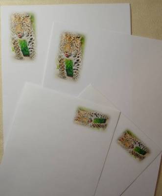 Leopard Brief Schreib Briefpapier Papier Set mit passenden Umschlägen 8+4