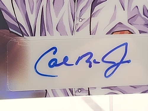 2023 Leaf Metal Anime Nation Cal Ripken JR Auto Iron Cal #AN-CRJ /10 + Base /98 - Picture 5 of 24