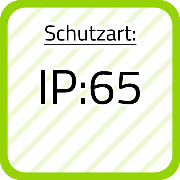 Bild 8 von 12