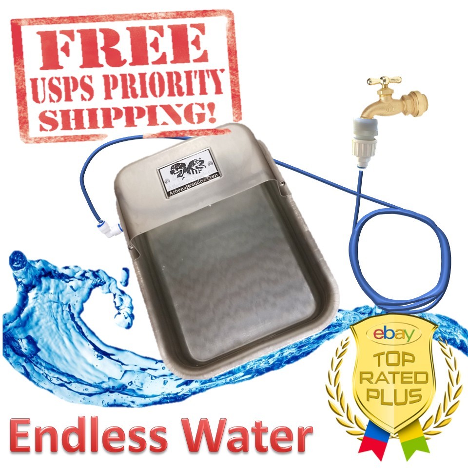 top fill dog waterer