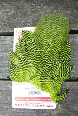 Whiting Softhackle & Chickabou Grizzly dyed Fluor. Yellow Chartreuse BRILLANT!