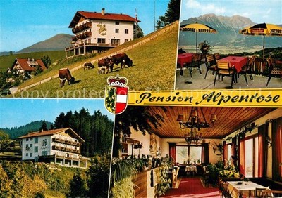 St Koloman Inn Pension Alpenrose Terrace Cattle Pasture