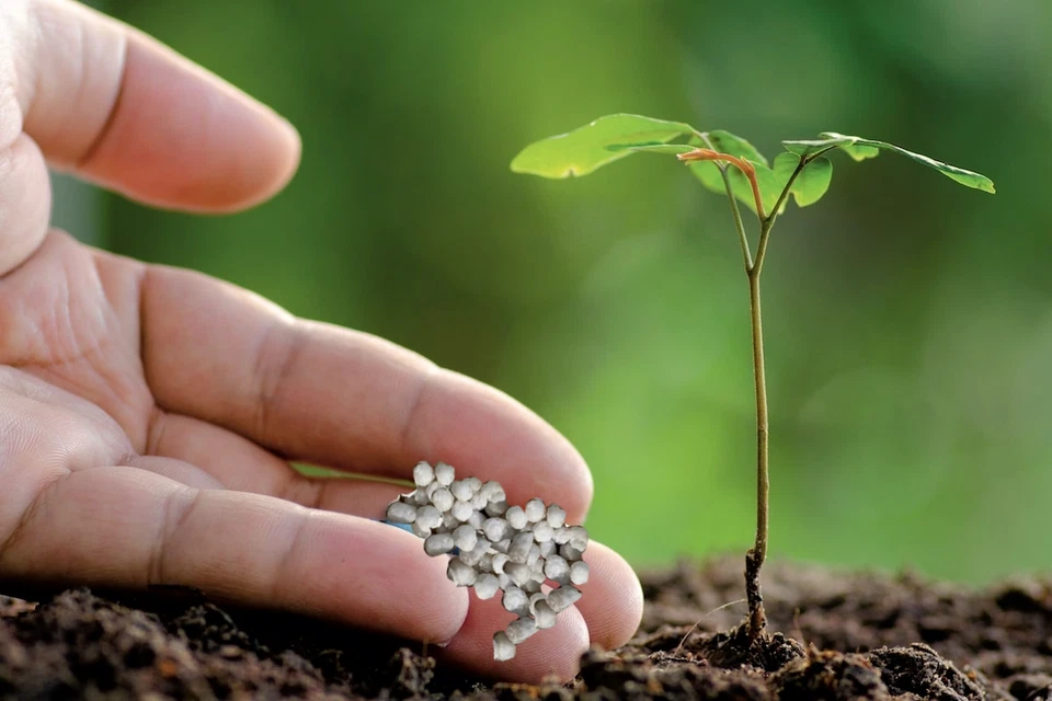 NPK ORO NUTRE FINO A TRE MESI (azoto fosforo potassio) SUPER CONCIME UNIVERSALE - Immagine 3 di 4