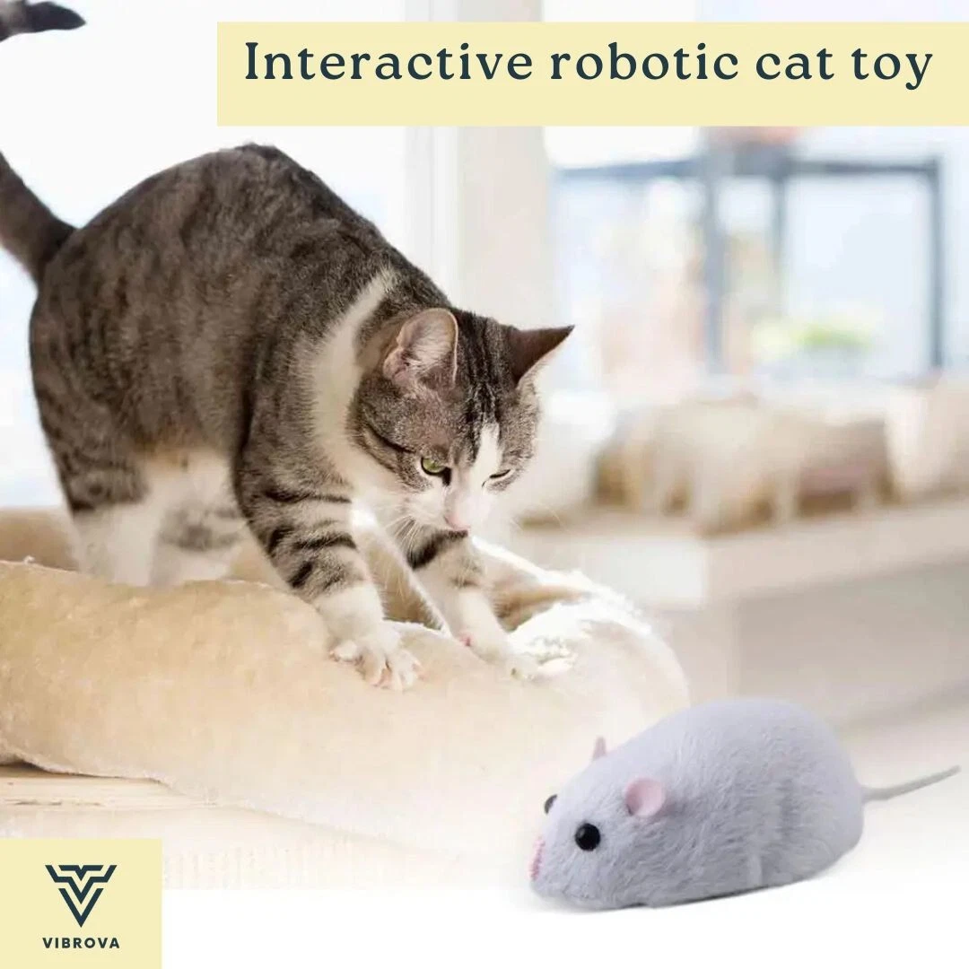 Interactive Robotic Cat Toys - Realistic Mouse Toy for Cats - Wireless Cat Toy
Opens in a new window