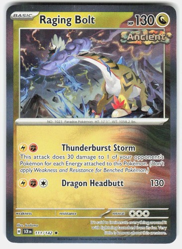 RAGING BOLT 111/142 RARE STELLAR CROWN POKEMON HOLO NM/M