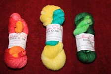 3 Southern Skeins Sock Club- Sock Yarn Hand Dyed