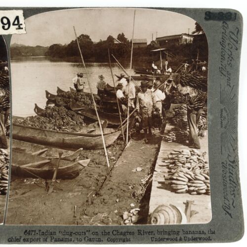 Banana Boats Poling Panama Stereoview c1900 Chagres River Dugout Canoes A2050 - Afbeelding 1 van 4