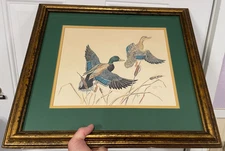 Vgt Framed Ducks Mallard Flying Print Ginger Peck Artist 1975 Decor Hunting