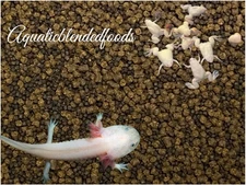 ABF JUVENILE AXOLOTL FOOD SOFT PELLETS & BLACKWORM PELLETS ABF435
