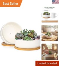 Stylish White Ceramic Succulent Planters with Tray - Perfect for