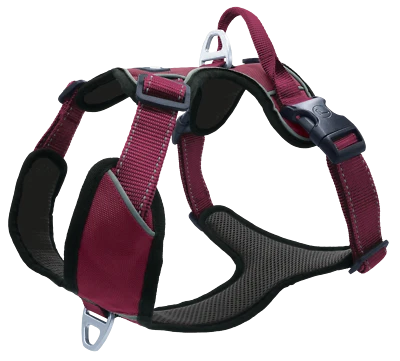 Petlando Outdoor Geschirr - berry XS | S | M | L | XL - Hundegeschirr