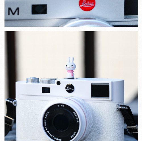 Shoe Cap Shoe Protection Camera Trim Bunny for Sony Fujifilm Canon Nikon Leica - 第 18/26 張圖片