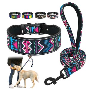 padded dog collars