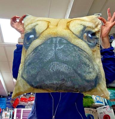 Hunde Mops Rehkitz Kissen extra groß 50 x 50 cm & Innenkissen Marke Puckator