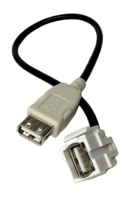 Delock USB 2.0 Keystone Modul Snap-In USB-A Buchse - USB-A Buchse