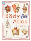 The Body Atlas: A Pictorial Guide to the Human Body (DK Pictorial Atlases) by