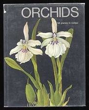 Orchids