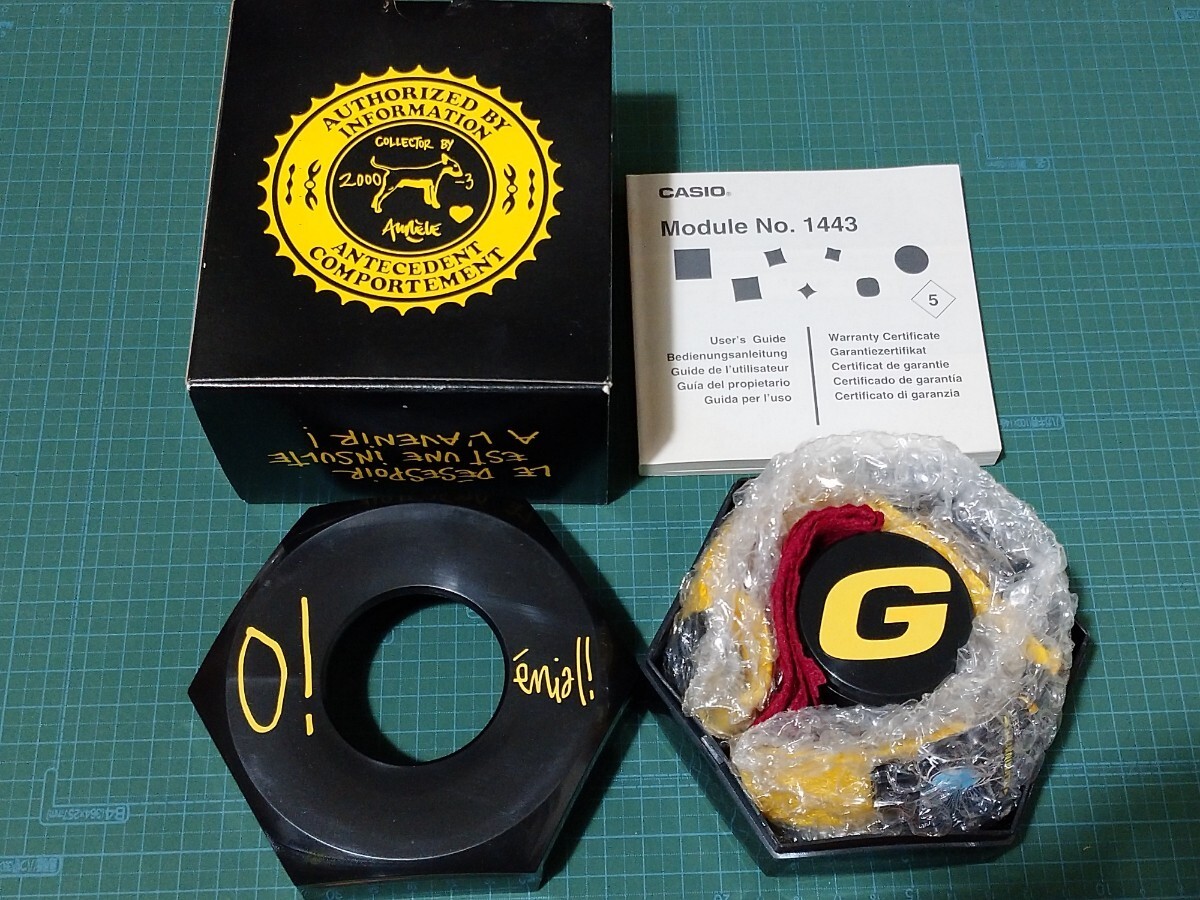 G-SHOCK/G-Shock DW-8800AB-9T Agnes b. Edition CASIO image 2