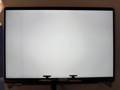 READ! GENUINE OEM MacBook Pro A2141 16'' LCD Screen Assembly - Space Gray/Grade D