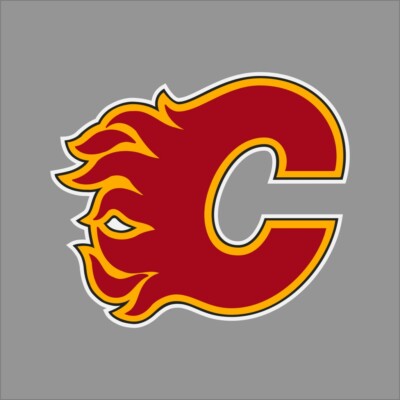 Calgary Flames NHL Team Pro Sports Vinyl Sticker Decal Car Window Wall 