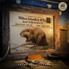 Vintage Beaver Fur Trapping Catalog Art Print Hunting Cabin Decor Trapper Gift