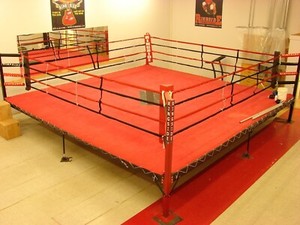 Boxing Ring -Ringside-  Used - Elevated - 20’x20’