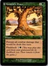 MTG Magic The Gathering Moment's Peace Odyssey Played See Scan C