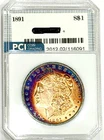 1891-P Rare Date CH + / Gem BU  Album Rainbow Toned Colors Morgan Dollar